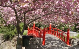 La disciplina tarde o temprano vencera a la inteligencia